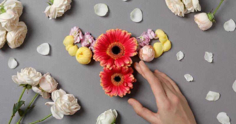 Freepik/Atlascompany